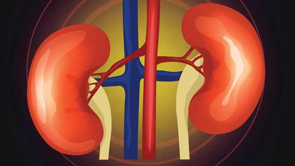 Symptoms and homeopathic treatment of kidney failure-Life Homeo Care